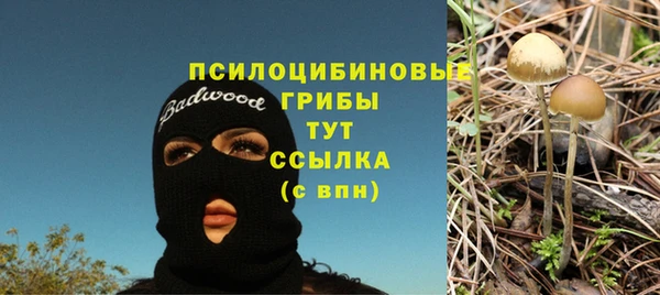 гидра Армянск